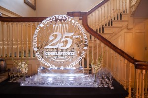 25 Brilliant Ice