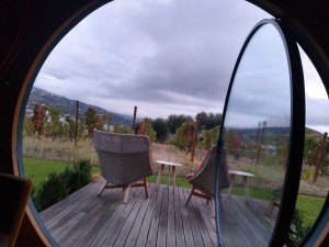 Wine Barrel Room